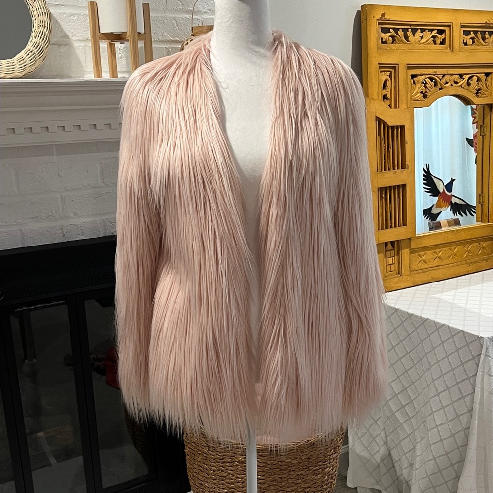 Ladakh Blush Teddy Jacket